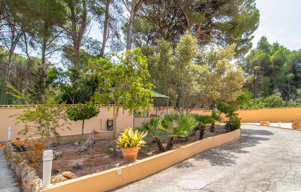 Feriehuse - Can Patilla, Cala Ratjada , Spanien - EMI332 18