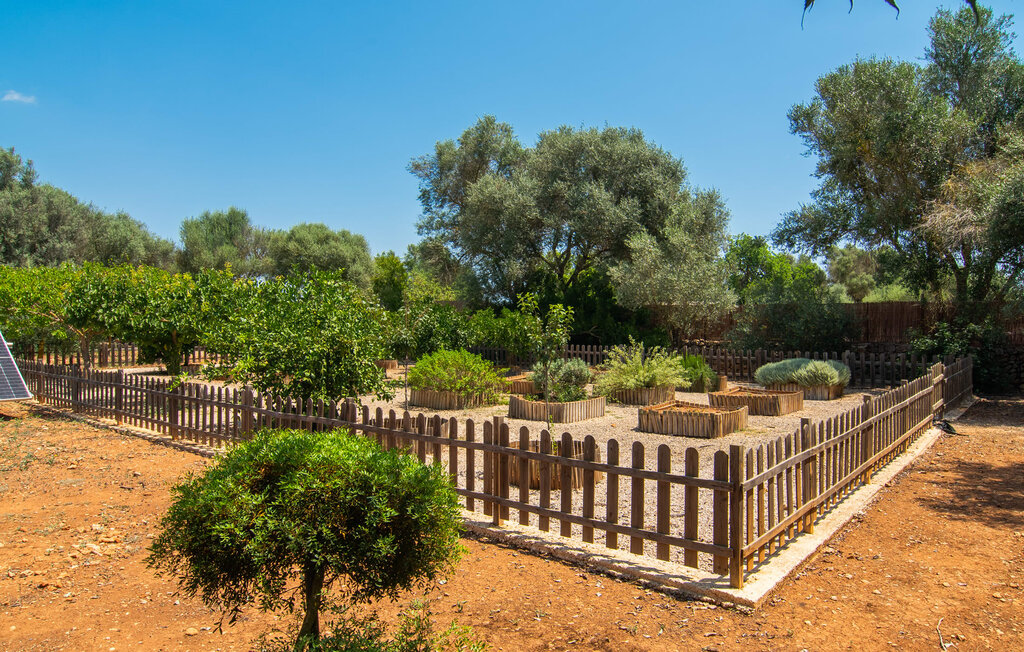 Kuća-za-odmor - Moli de Son Soler, Felanitx , Španjolska - EMI369 23