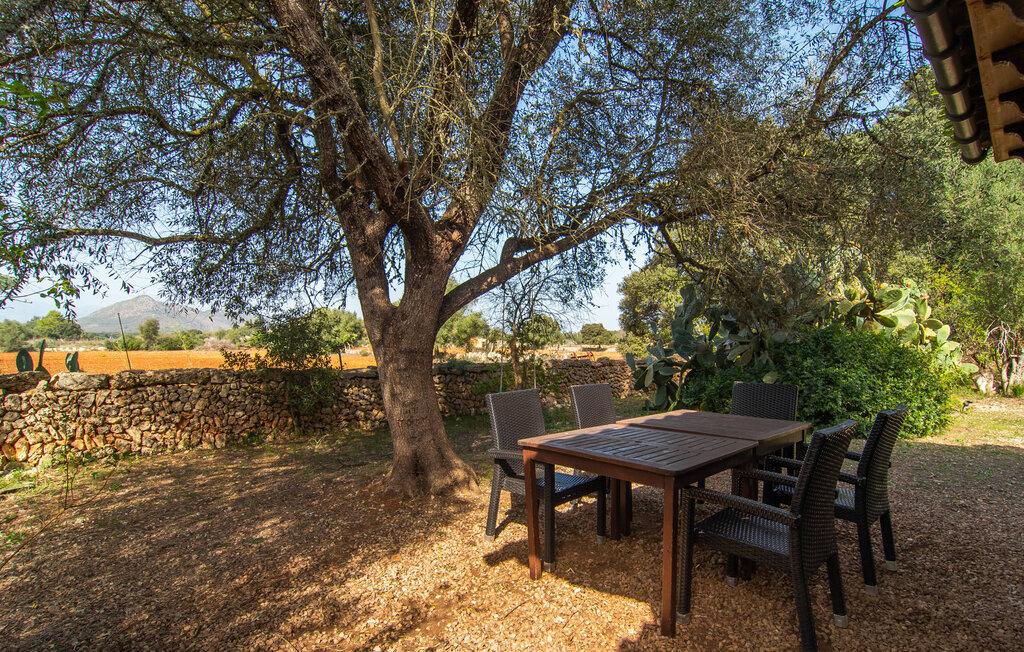 Feriehuse - Can Vey, Inca , Spanien - EMI378 23