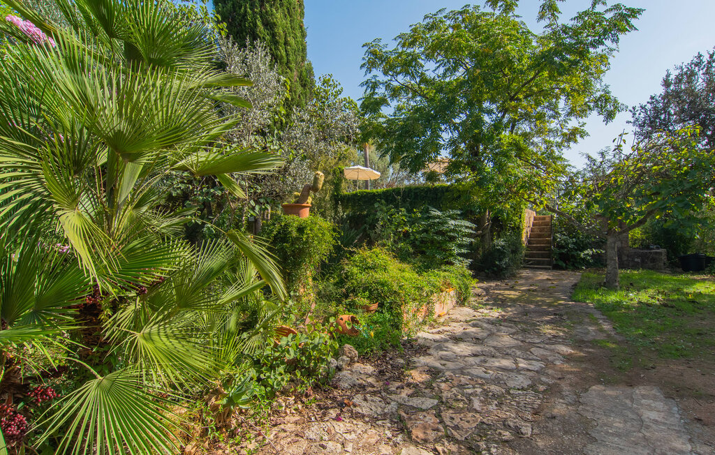 Feriehuse - Can Vey, Inca , Spanien - EMI378 25