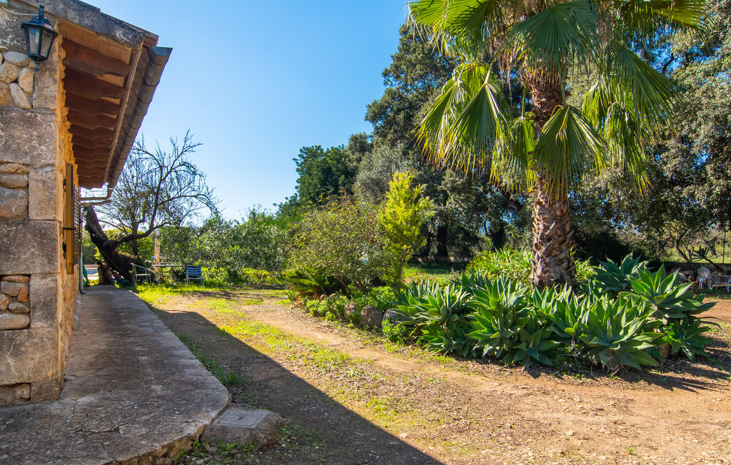Ferienhaus - Sa Figuera Blanca, Buger , Spanien - EMI380 15