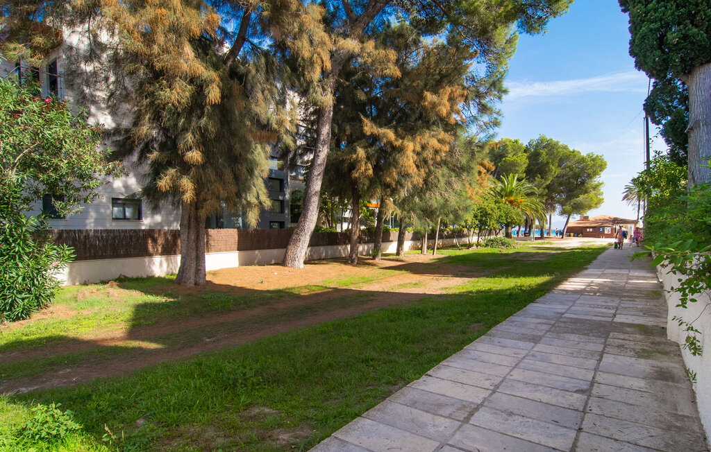 Location de vacances - Mon Repos I, Alcudia , Espagne - EMI392 14