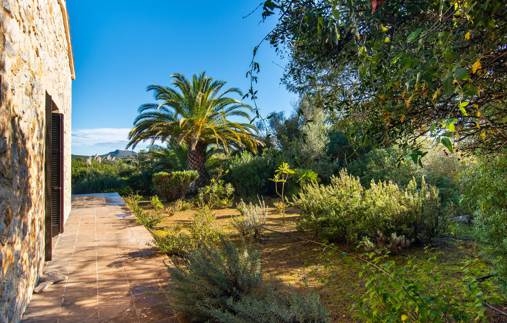 Domy wakacyjne - El Palo, Arta , Hiszpania - EMI419 18