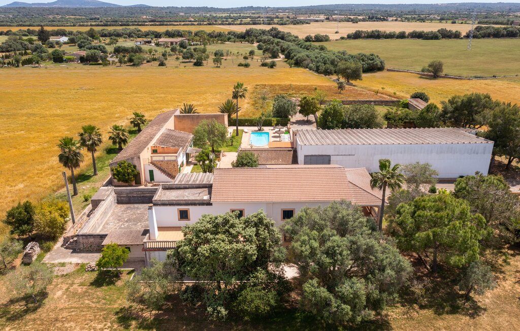 Ferienhaus - Emilia, Campos , Spanien - EMI423 14