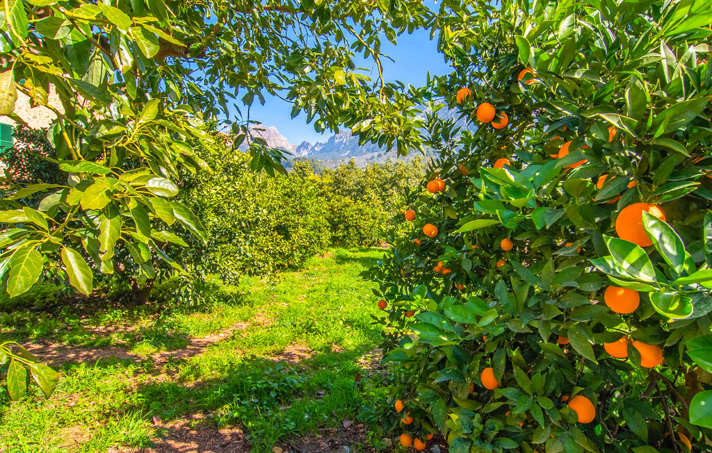 Feriehus - Ca Na Xesca, Soller , Spania - EMI445 6