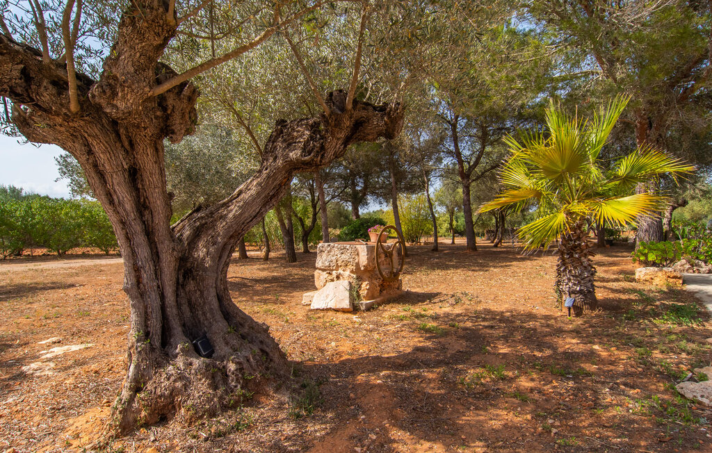 Feriehuse - Can Punta, Campos , Spanien - EMI508 21