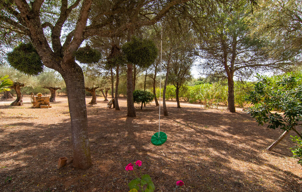 Feriehuse - Can Punta, Campos , Spanien - EMI508 20