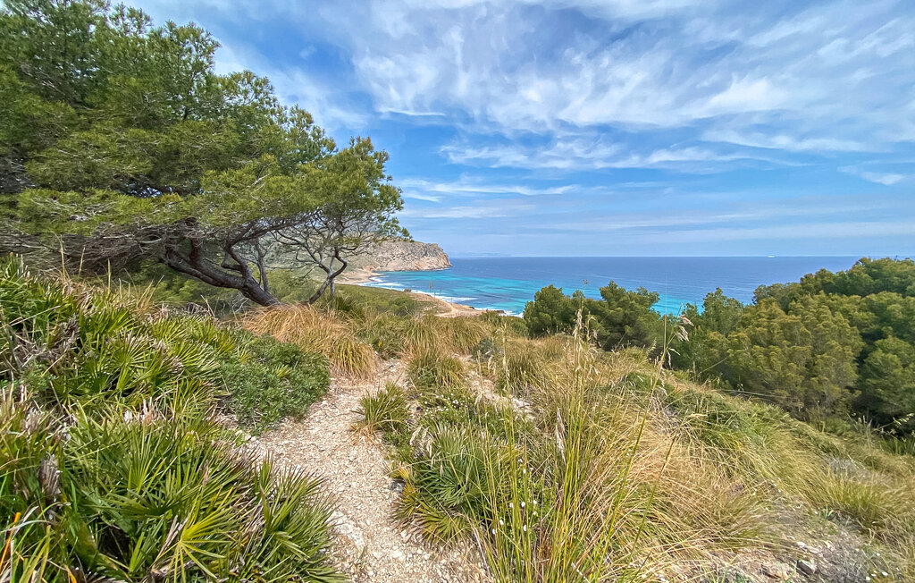 Location de vacances - Casa Vida Arta, Arta , Espagne - EMI449 26