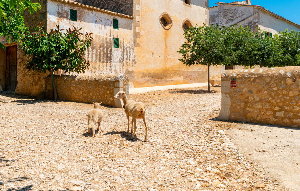 Domy wakacyjne - s'Estremera Nova, Bunyola , Hiszpania - EMI242 20