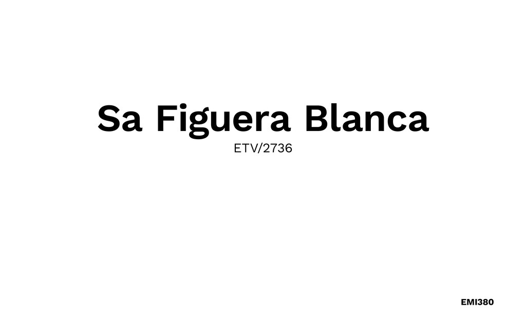 Ferienhaus - Sa Figuera Blanca, Buger , Spanien - EMI380 38