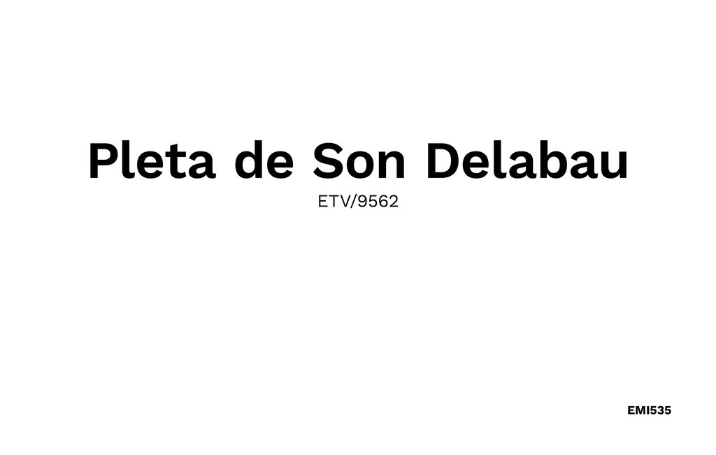 Ferienhaus - Pleta de Son Delabau, Llucmajor , Spanien - EMI535 36