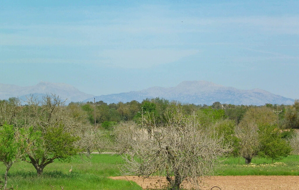 Ferienhaus - Felanitx , Spanien - EMI586 16