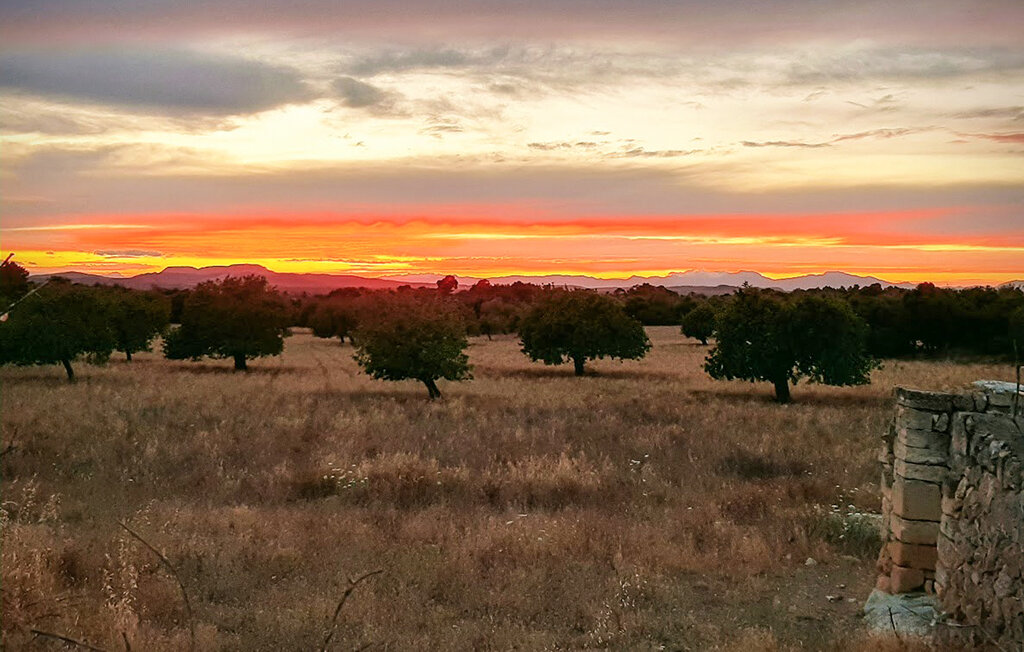 Ferienhaeuser - Felanitx , Spanien - EMI602 9