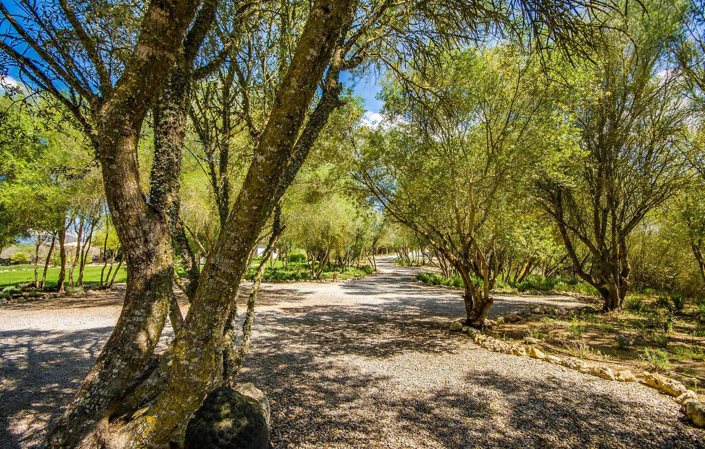 Ferienhaus - Llubi , Spanien - EMI294 10