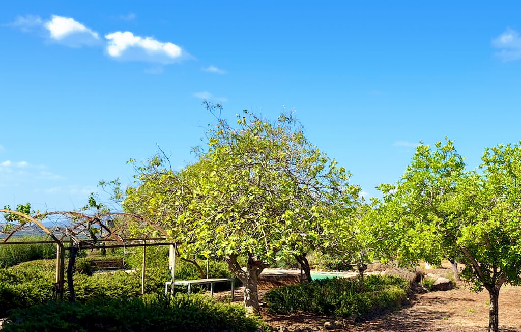 Ferienhaus - Artà , Spanien - EMI617 7