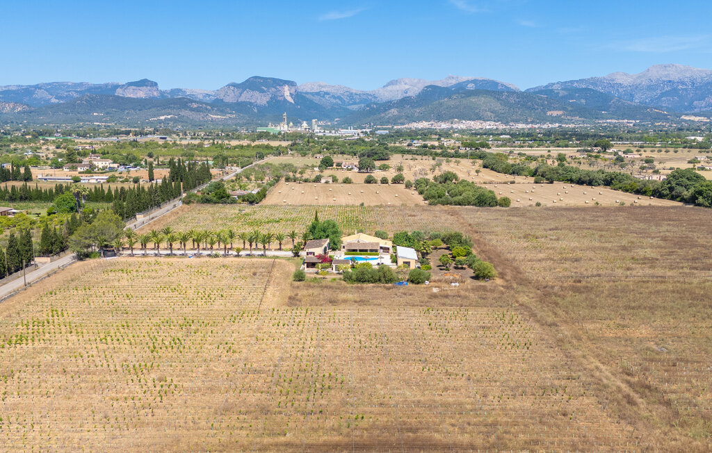Ferienhaus - Binissalem , Spanien - EMI621 16