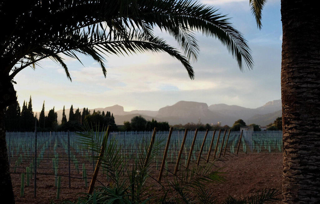 Ferienhaus - Binissalem , Spanien - EMI621 9