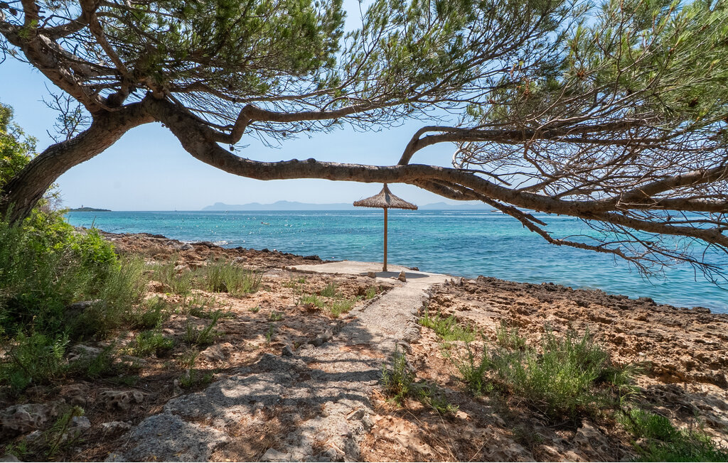 Domy wakacyjne - Alcanada , Hiszpania - EMI618 9