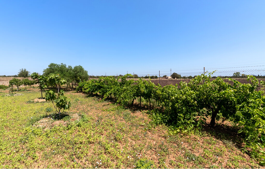 Ferienhaeuser - Felanitx , Spanien - EMI586 22