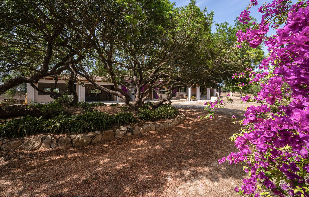 Ferienhaeuser - Felanitx , Spanien - EMI602 30