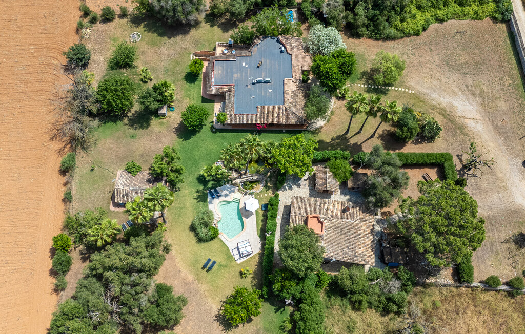 Kuća-za-odmor - Ca Na Marlis, Inca , Španjolska - EMI479 24