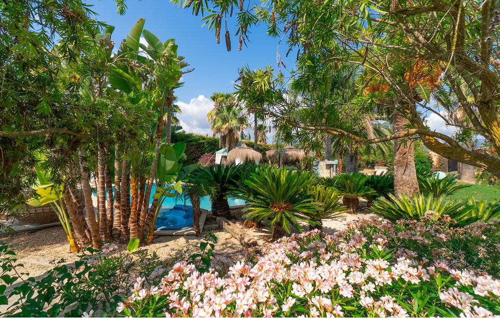 Location de vacances - Binissalem , Espagne - EMI626 17