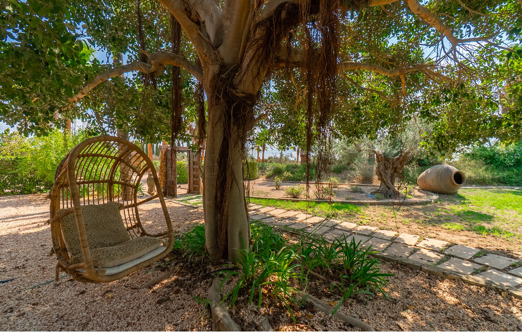 Location de vacances - Binissalem , Espagne - EMI626 21