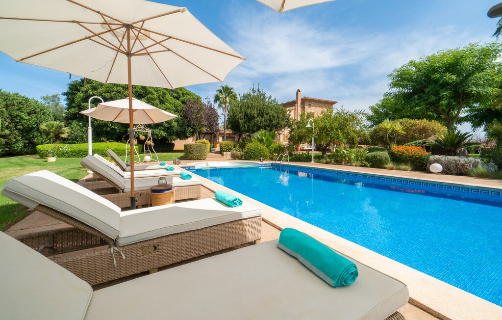 Elite Polo Dreams in Inca, Mallorca
