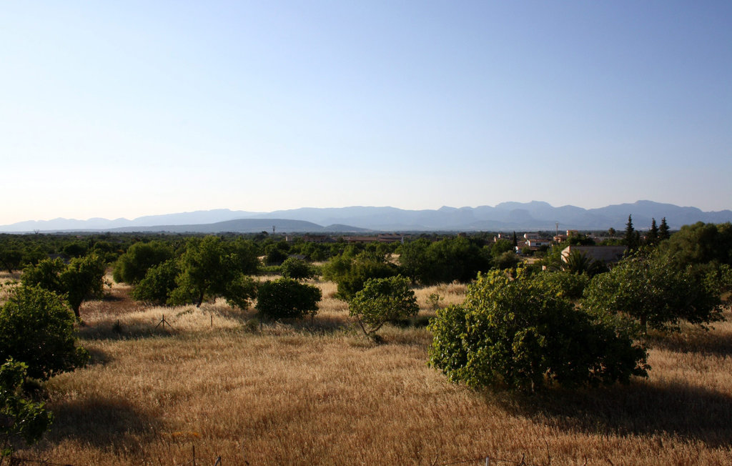 Ferienhaus - Algaida , Spanien - EML748 23