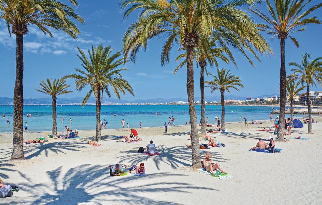 Ferienhaus - Llucmajor-Badia Blava , Spanien - EML142 6