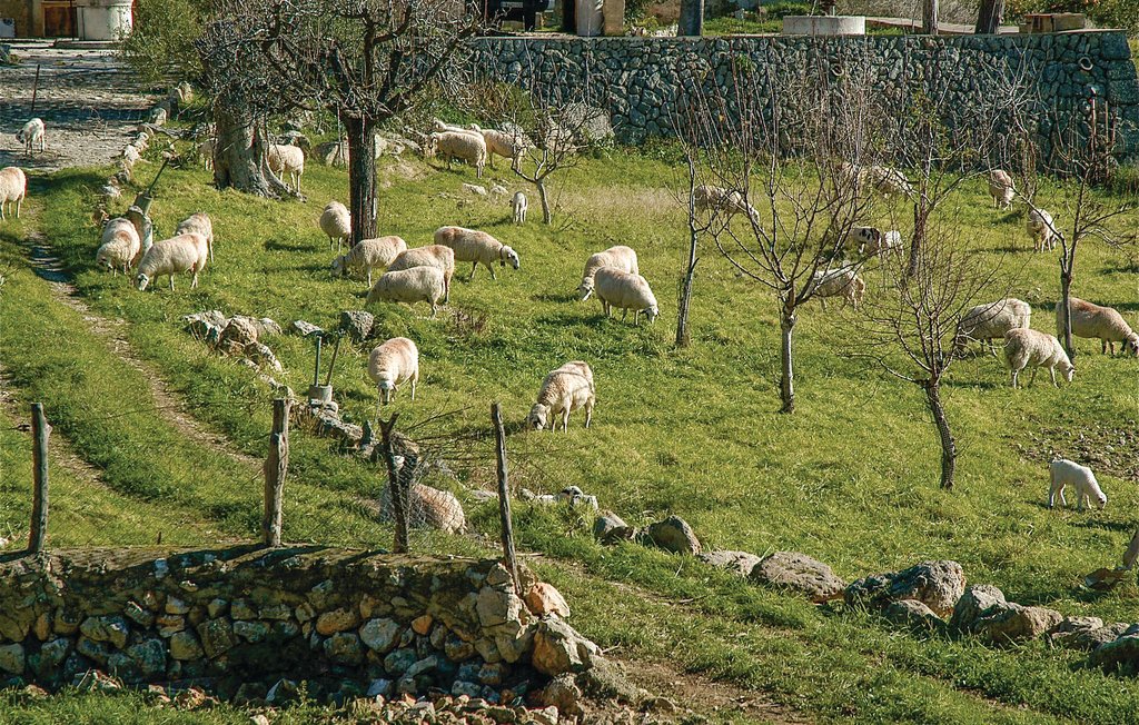Ferienhaus - Alaró , Spanien - EML526 36