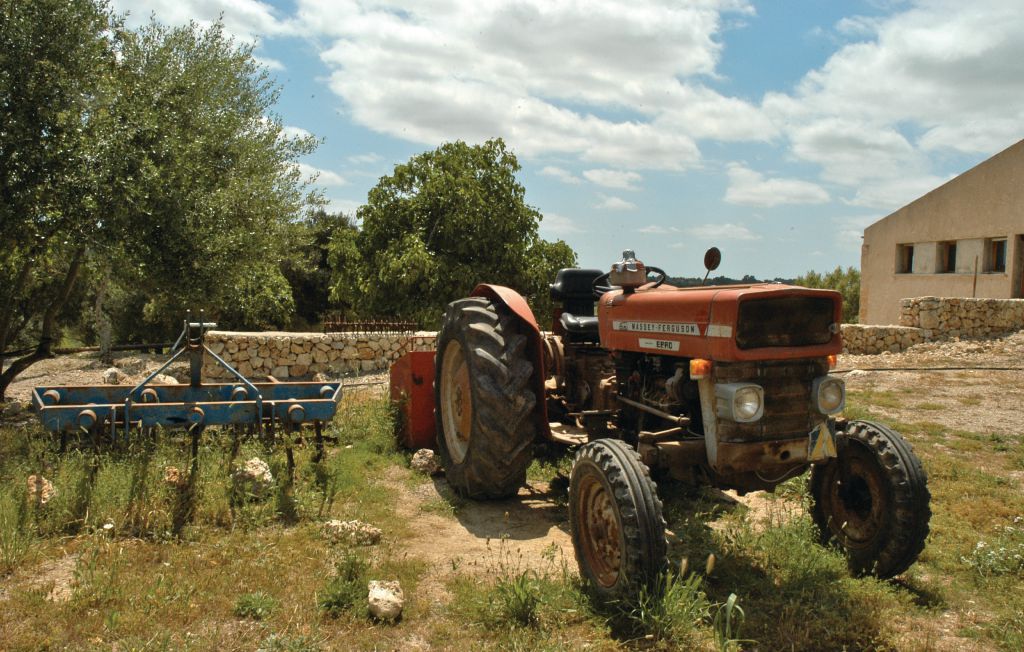 Ferienhaus - Ariany , Spanien - EML887 65