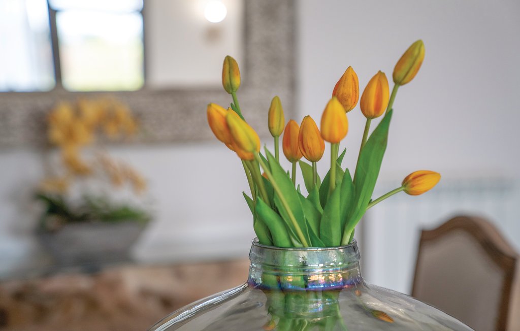 Feriehuse - SON REINES, Muro , Spanien - EML358 35