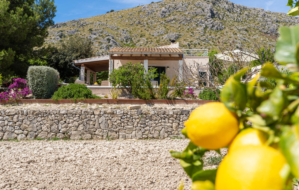 Feriehuse - Port d'Alcúdia-Puerto Alcudia , Spanien - EML240 25
