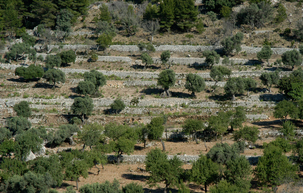 Feriehuse - Estellencs , Spanien - EML500 9