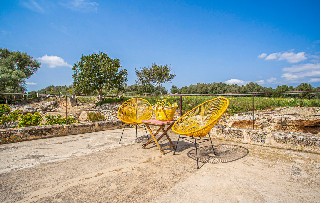 Ferienhaus - Ariany , Spanien - EML887 28