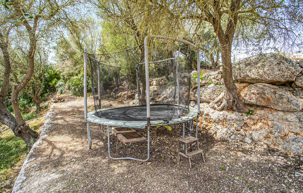 Ferienhaus - Ariany , Spanien - EML887 29