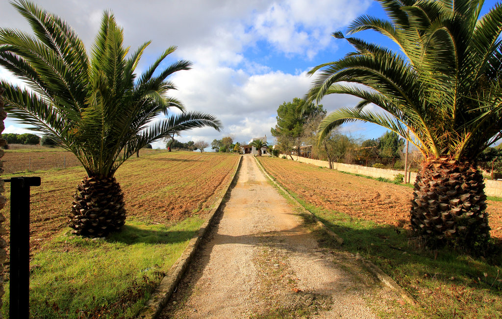 Ferienhaus - Algaida , Spanien - EML929 8