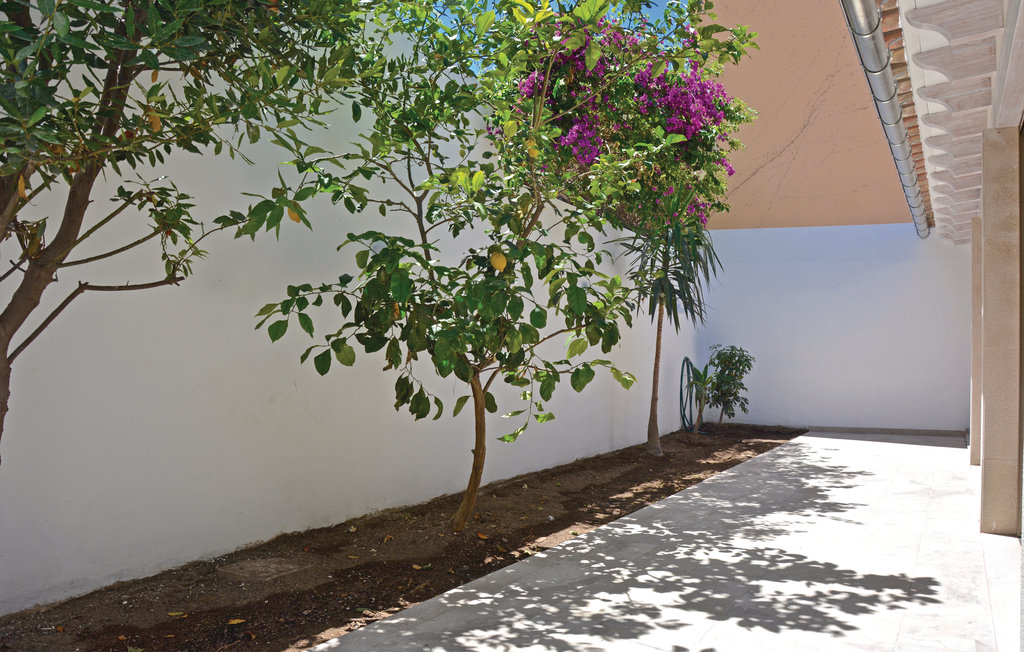 Feriehuse - ES MOLINAR, Palma de Mallorca , Spanien - EML352 8