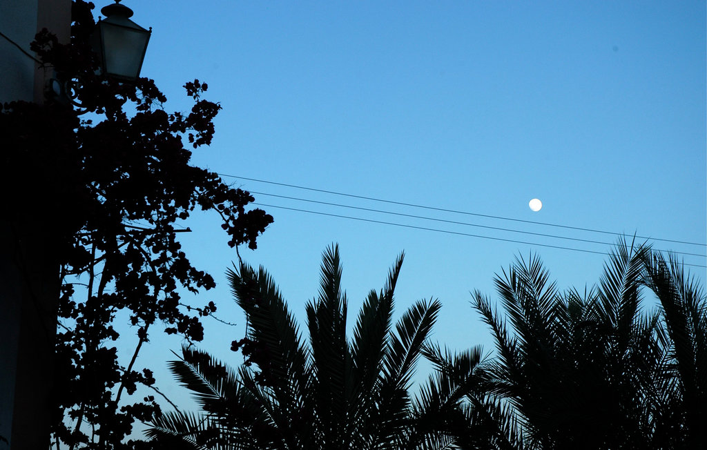 Ferienhaus - Porreres , Spanien - EML736 10