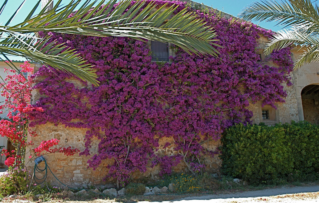Ferienhaus - Porreres , Spanien - EML736 9