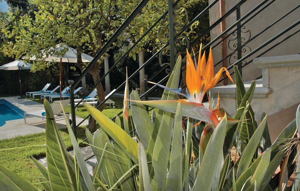 Feriehuse - Sóller , Spanien - EML922 23