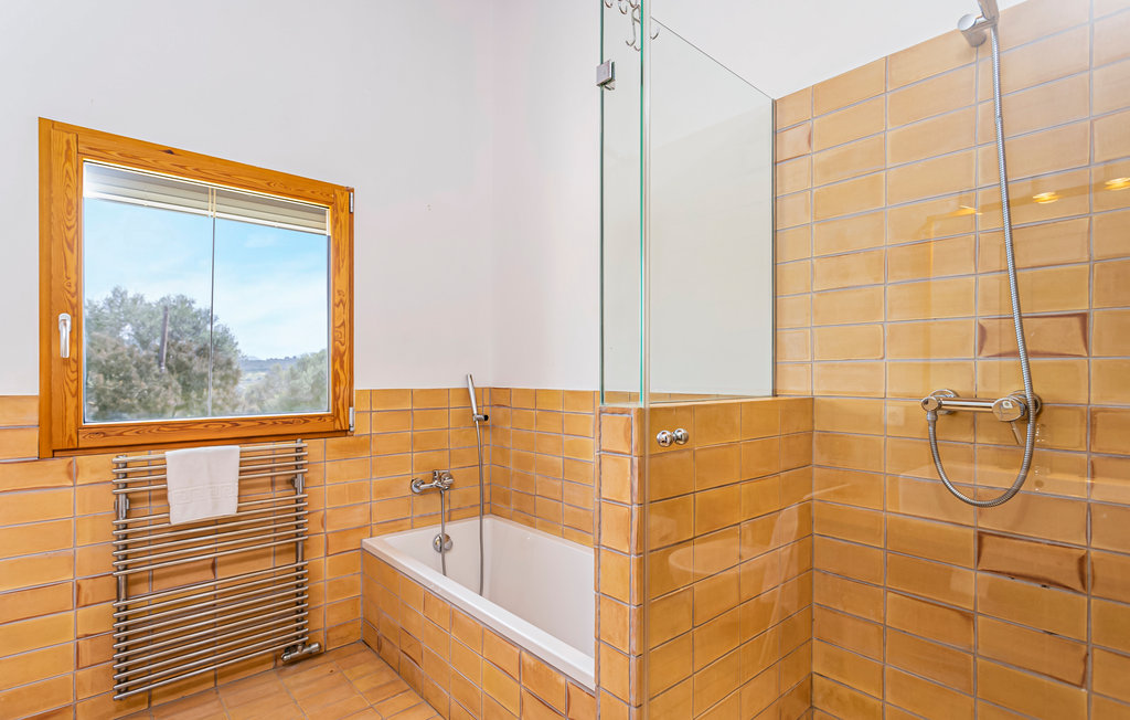 Ferienhaus - Ariany , Spanien - EML887 55