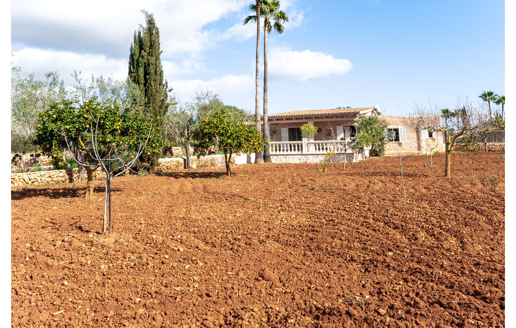 Feriehuse - S'Alqueria Blanca , Spanien - EML395 11