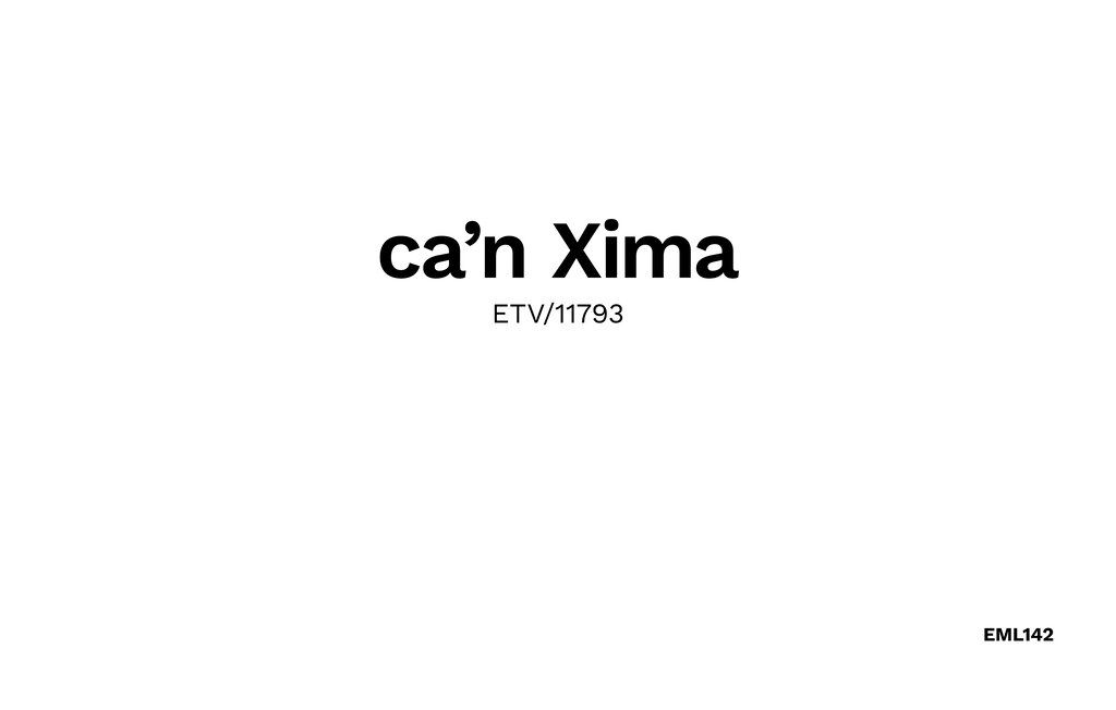 Ferienhaus - Llucmajor-Badia Blava , Spanien - EML142 39