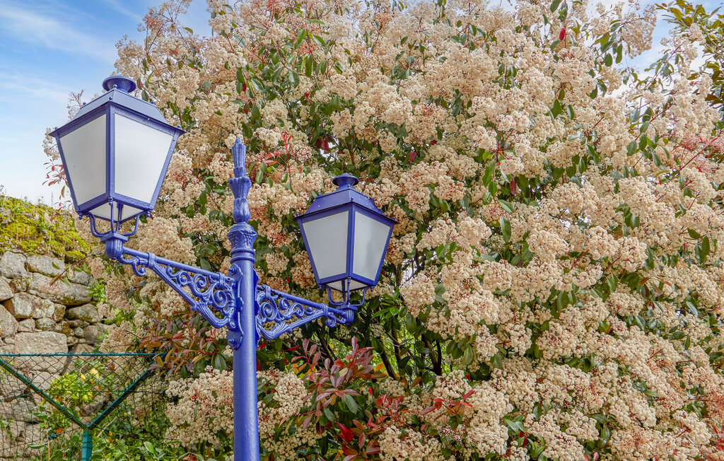 Domy wakacyjne - LA CORUÑA , Hiszpania - ESA055 39
