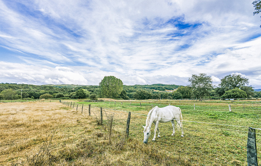 Semesterhus - Ribeira Sacra,Diomondi , Spanien - ESL001 8