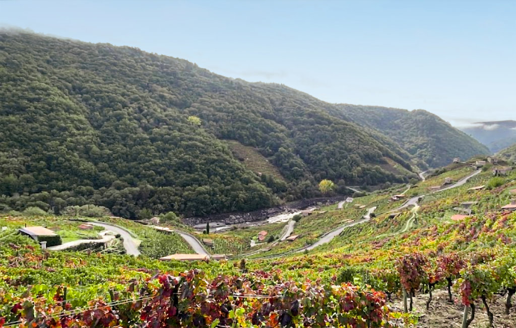 Semesterhus - Ribeira Sacra,Diomondi , Spanien - ESL001 18