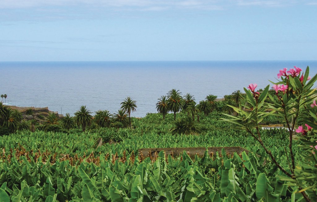 Feriehuse - Icod de Los Vinos-Tenerife , Spanien - ETE168 29