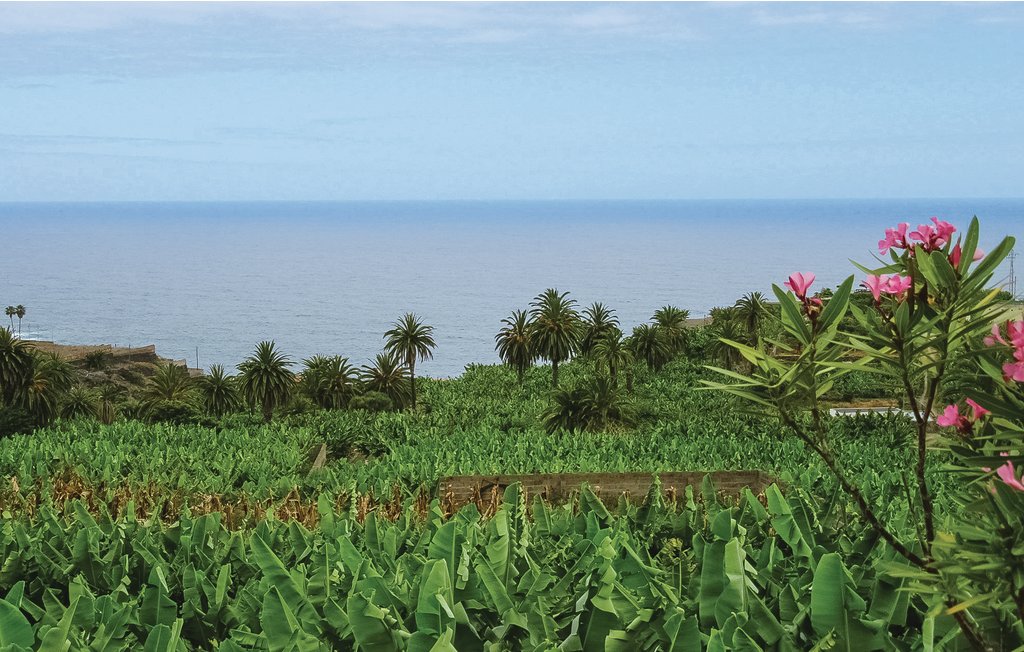 Feriehus - Icod de los Vinos-Tenerife , Spania - ETE426 22